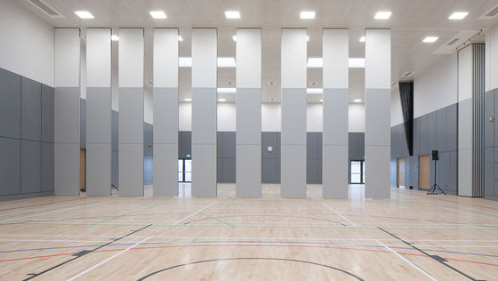 kopen Vergaderzaal Hangende Schuifdeur Banketzaal Scheidingsmuur online manufacture